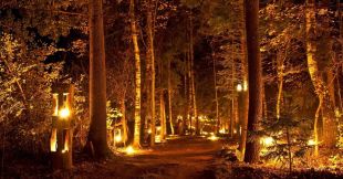 Ночь Огня 2025 в парке Виенкочу