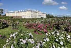 Их объединяют Розы... Дворцовый парк Рундале, раки на обед и открытие XXI летнего Фестиваля Виллы Хаима Френкеля